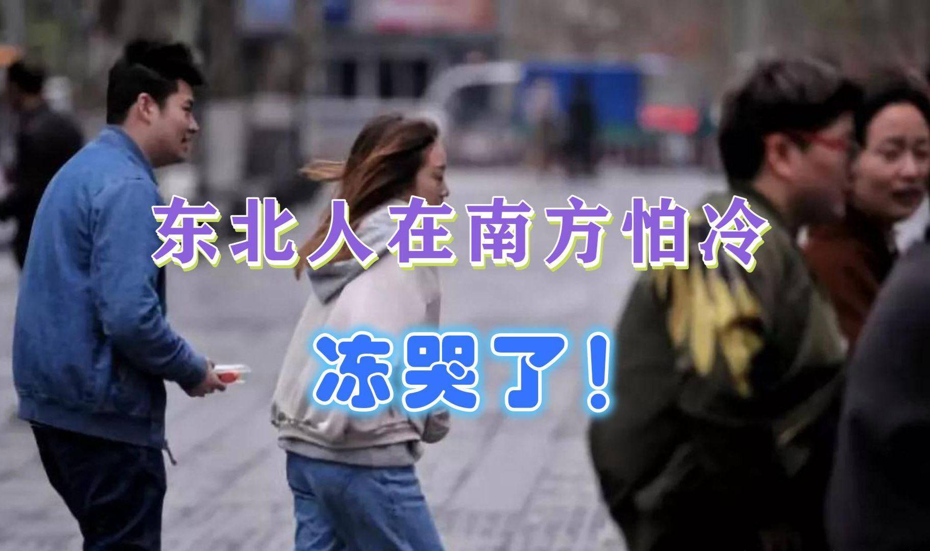 疑人生：不会置你死地但会让你无数次后悔尊龙凯时app东北女生在南方被冻到怀