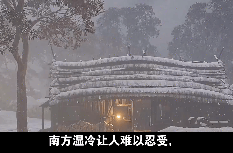 疑人生：不会置你死地但会让你无数次后悔尊龙凯时app东北女生在南方被冻到怀(图2)