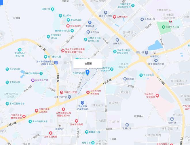 的独栋别墅拍卖被人264万就买到了尊龙凯时APP玉林市中心一栋4层(图2)